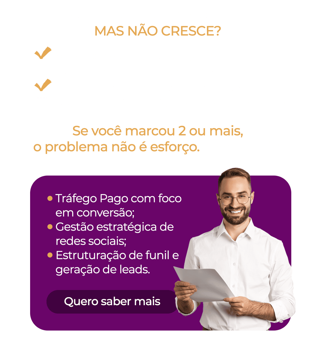 Serviço Tráfego Pago